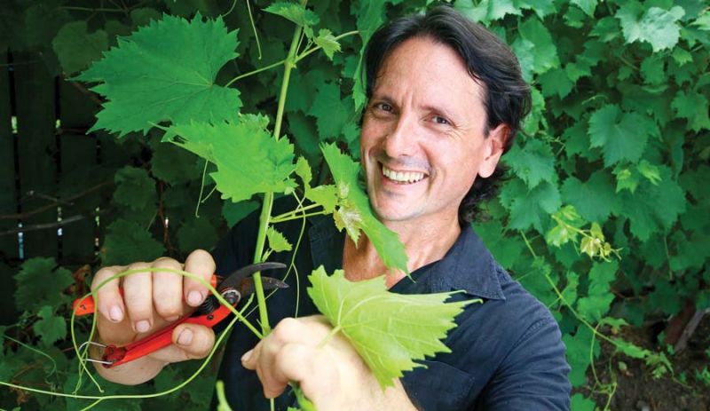 Sandgate Garden - Northside Printing